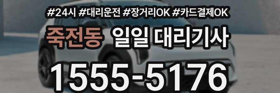 죽전동 일일 대리기사