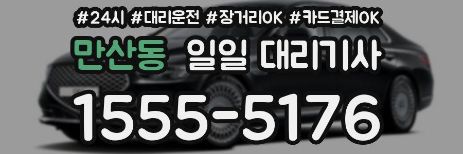 만산동 일일 대리기사