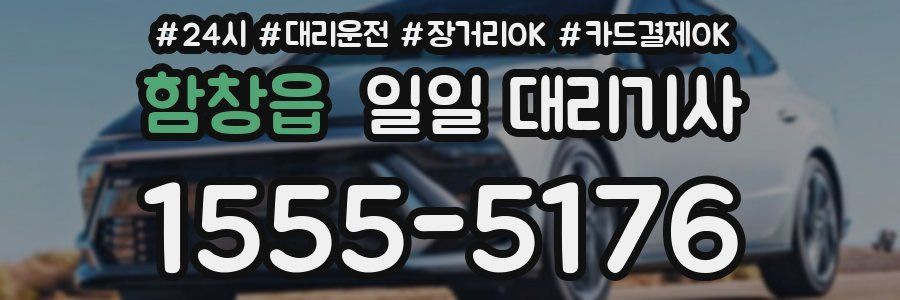 함창읍 일일 대리기사