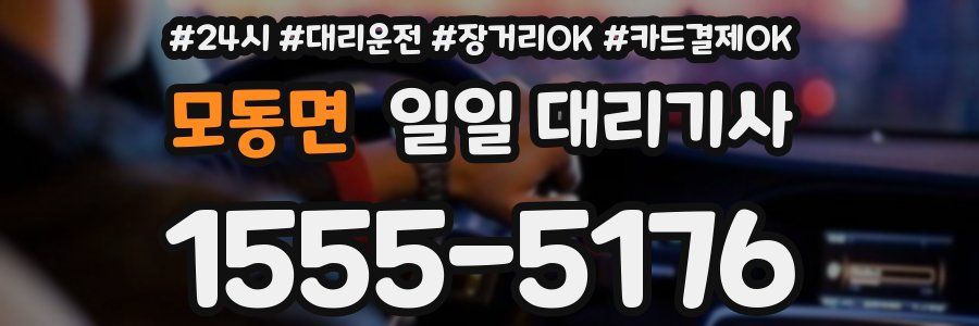 모동면 일일 대리기사