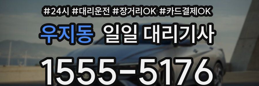 우지동 일일 대리기사