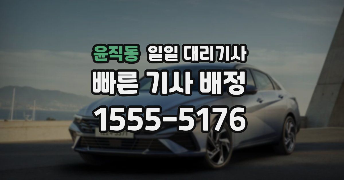 윤직동 일일 대리기사