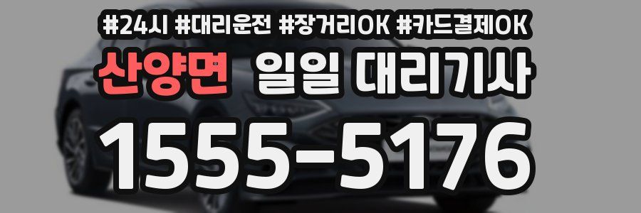 산양면 일일 대리기사