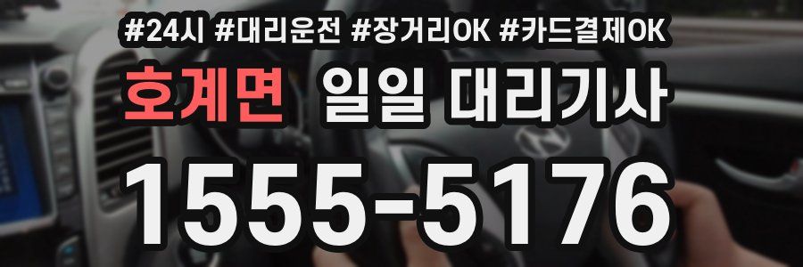 호계면 일일 대리기사
