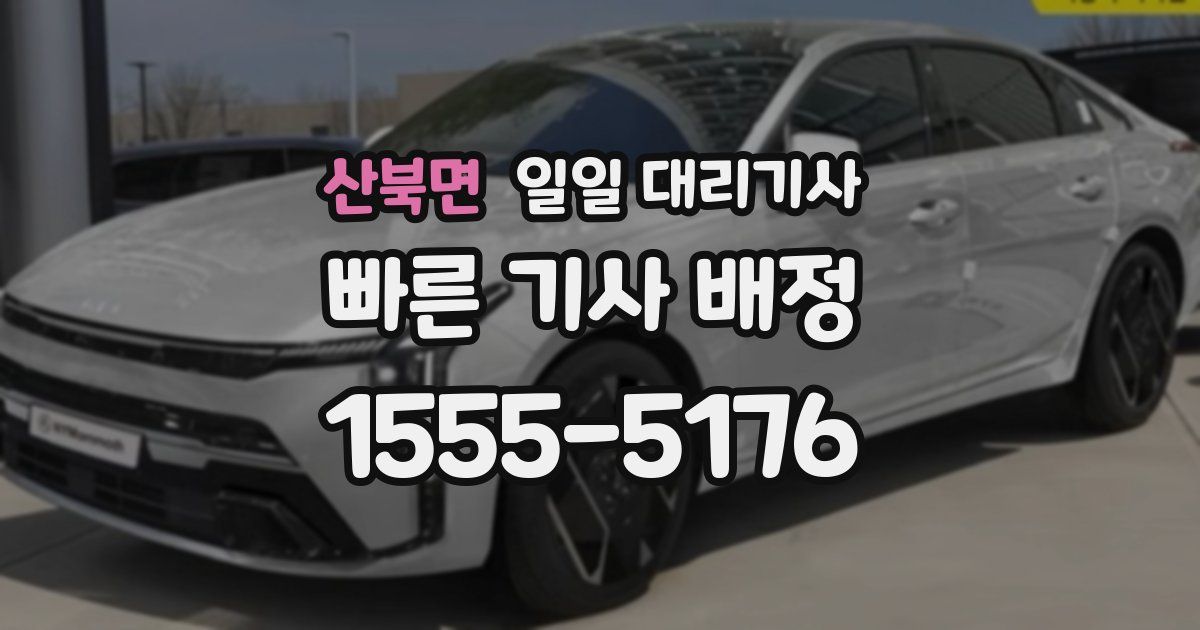 산북면 일일 대리기사