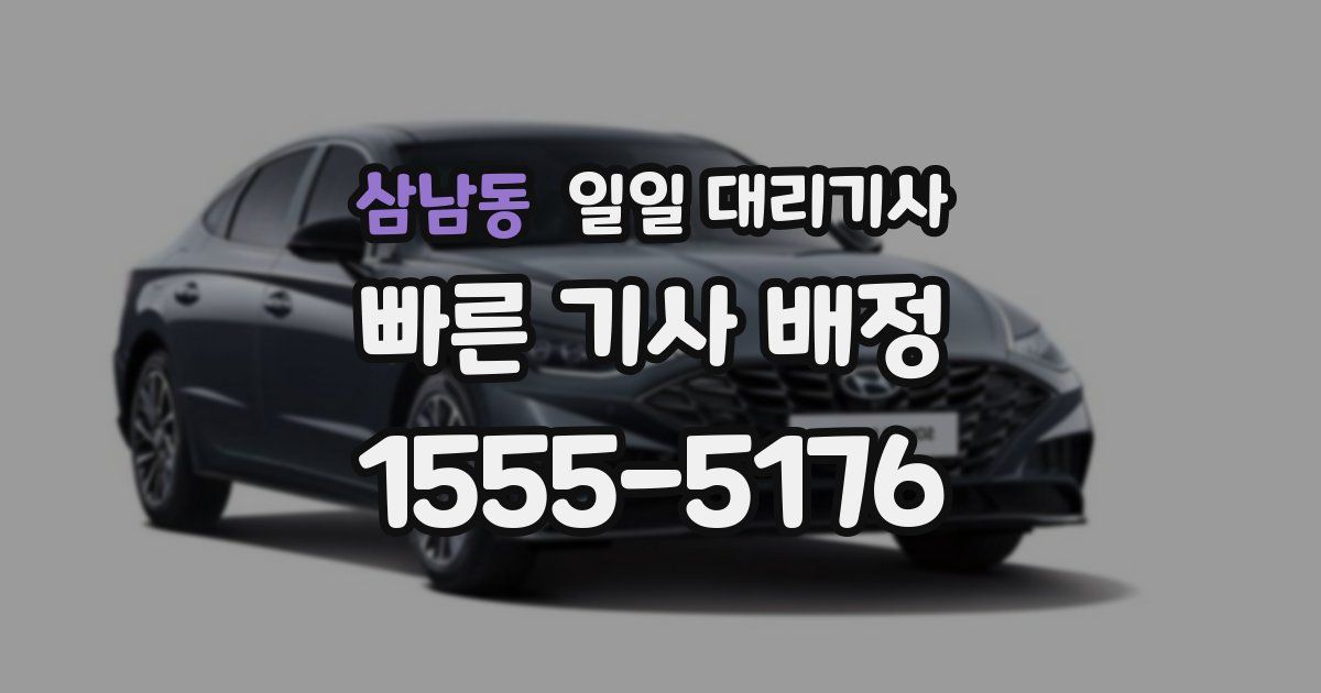 삼남동 일일 대리기사