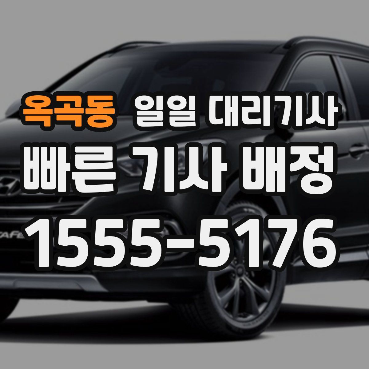 옥곡동 일일 대리기사