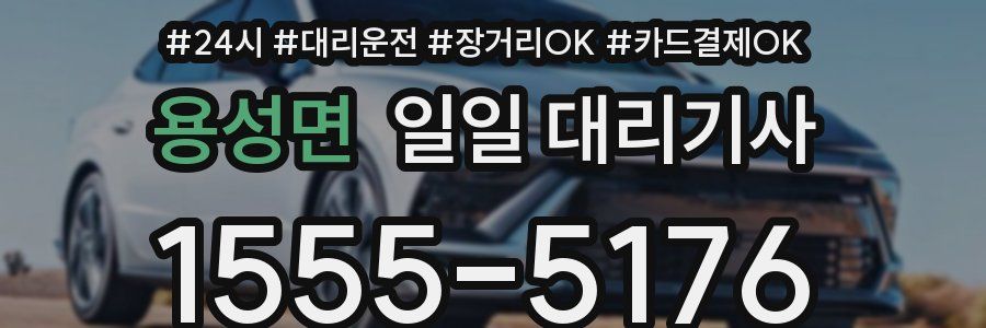 용성면 일일 대리기사