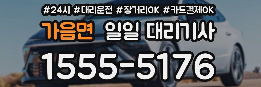 가음면 일일 대리기사
