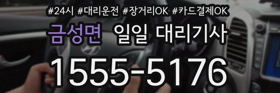 금성면 일일 대리기사