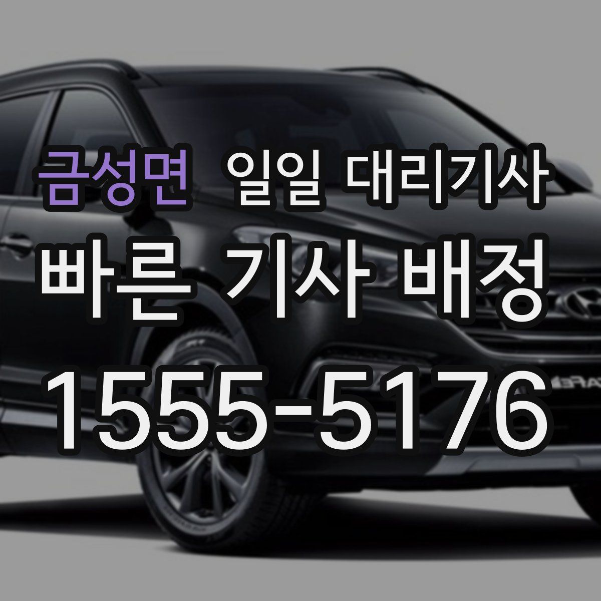 금성면 일일 대리기사