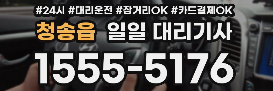 청송읍 일일 대리기사