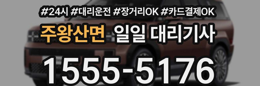 주왕산면 일일 대리기사