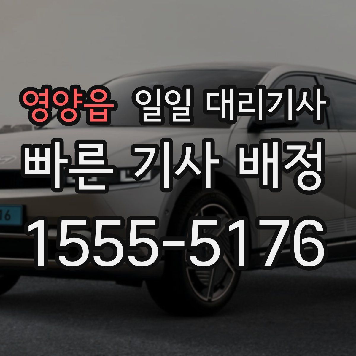 영양읍 일일 대리기사