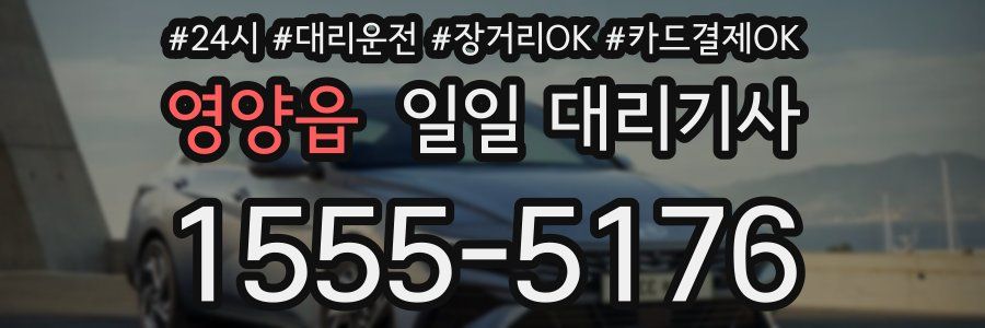 영양읍 일일 대리기사