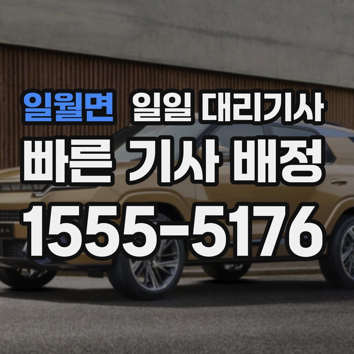 일월면 일일 대리기사