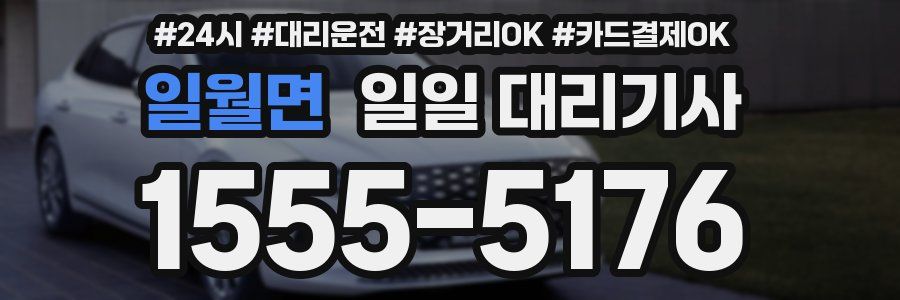 일월면 일일 대리기사