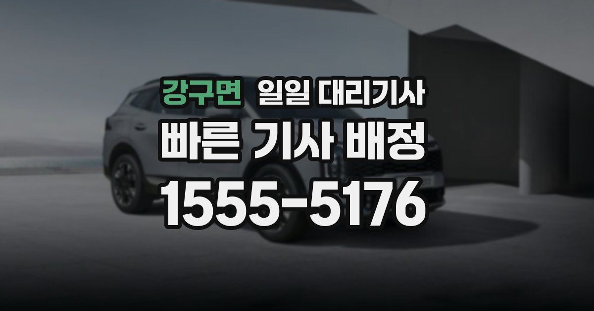 강구면 일일 대리기사