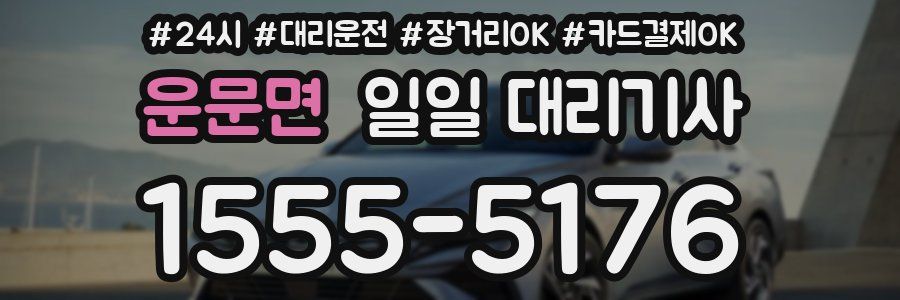운문면 일일 대리기사
