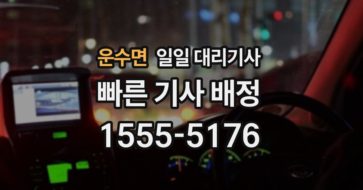 운수면 일일 대리기사