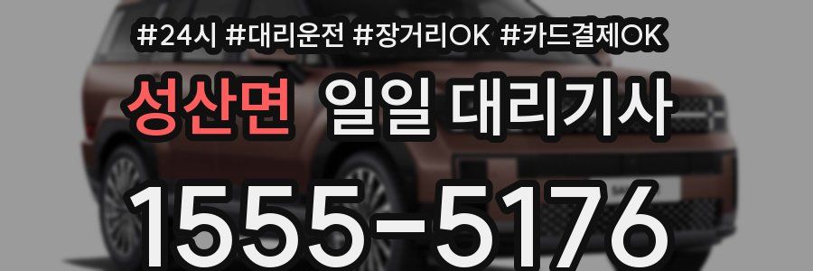 성산면 일일 대리기사