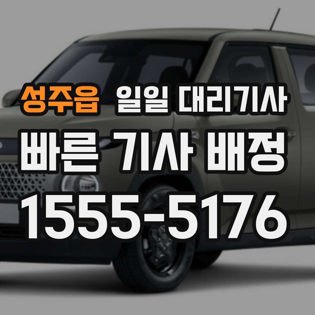 성주읍 일일 대리기사