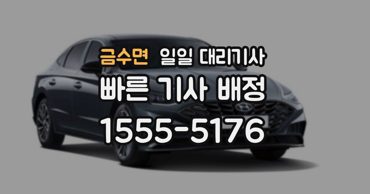 금수면 일일 대리기사