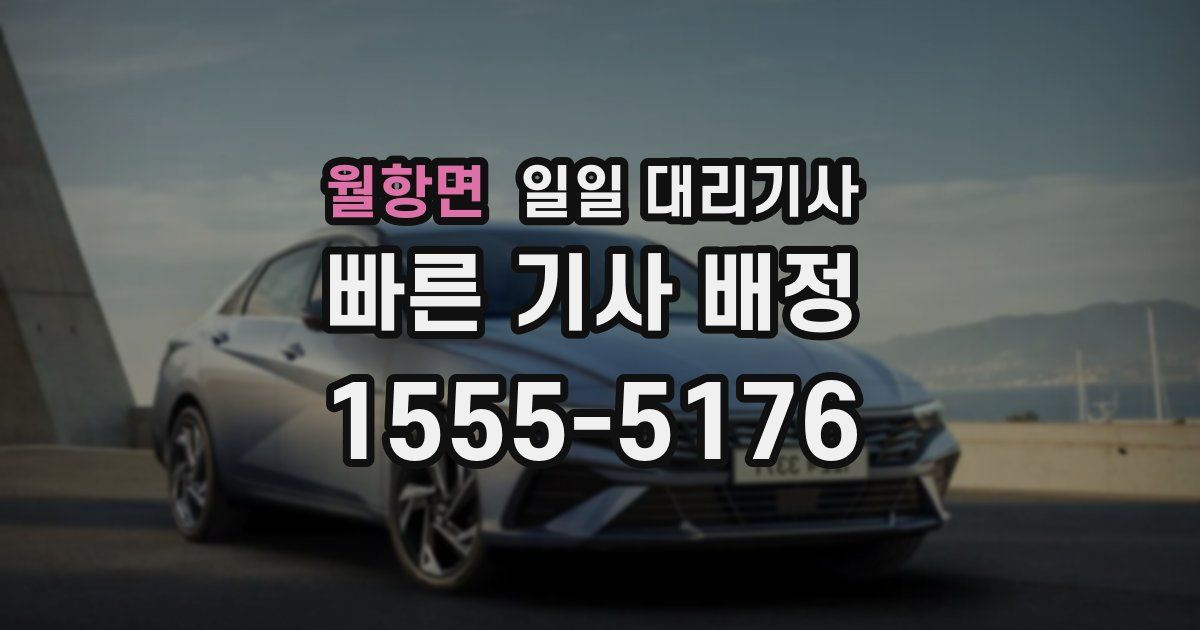 월항면 일일 대리기사