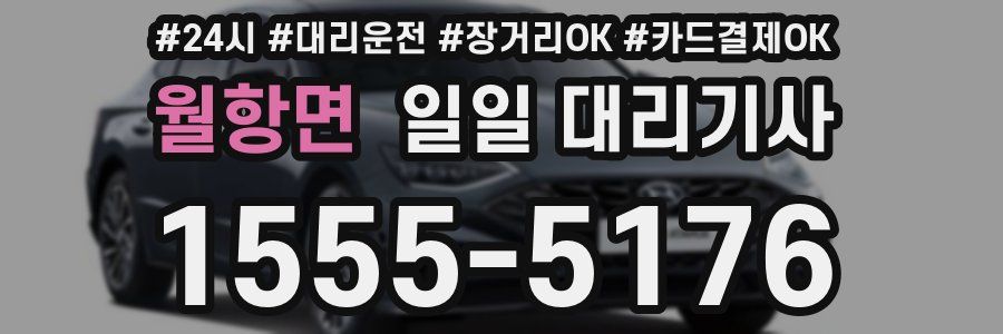 월항면 일일 대리기사