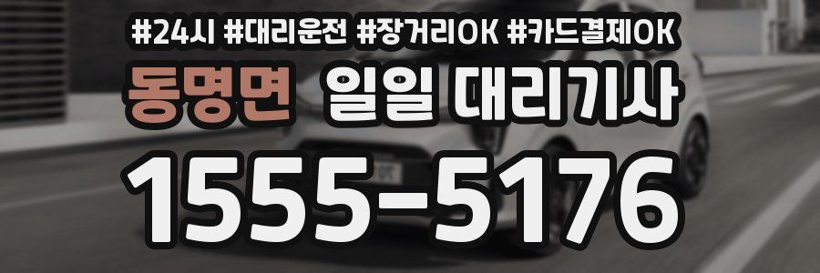 동명면 일일 대리기사