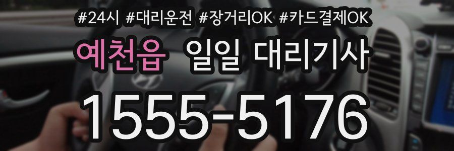 예천읍 일일 대리기사