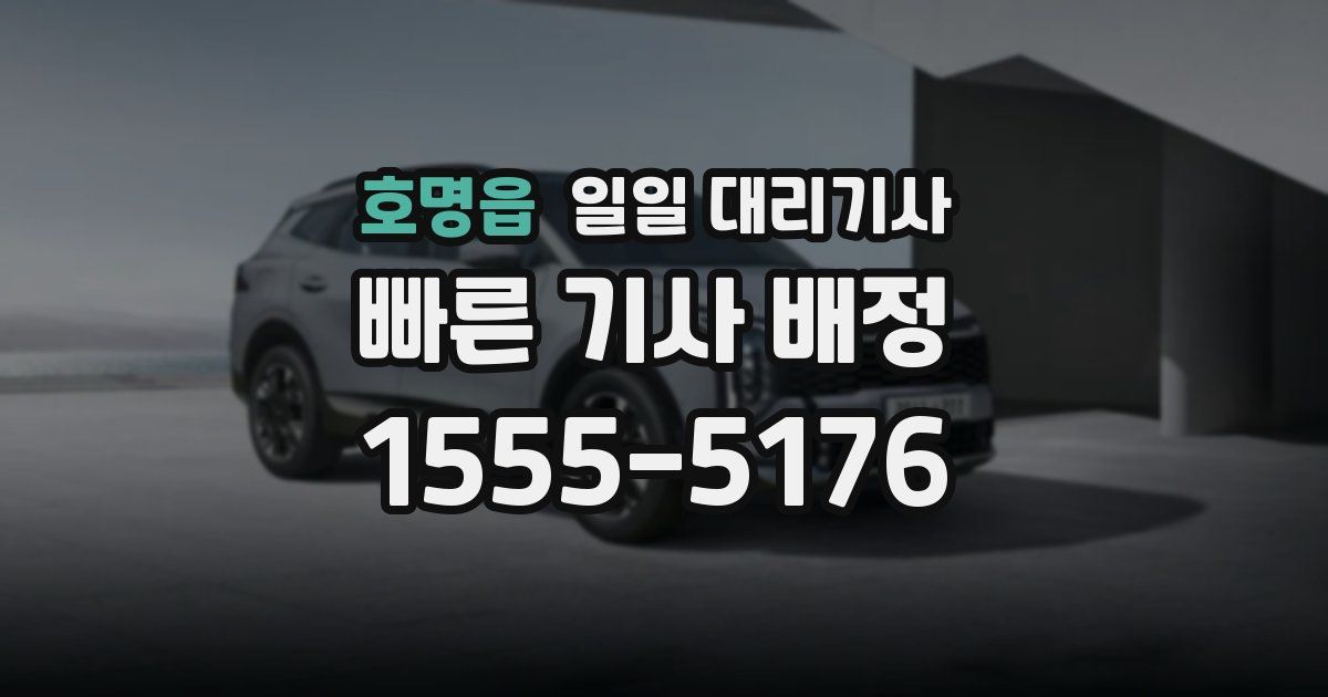 호명읍 일일 대리기사