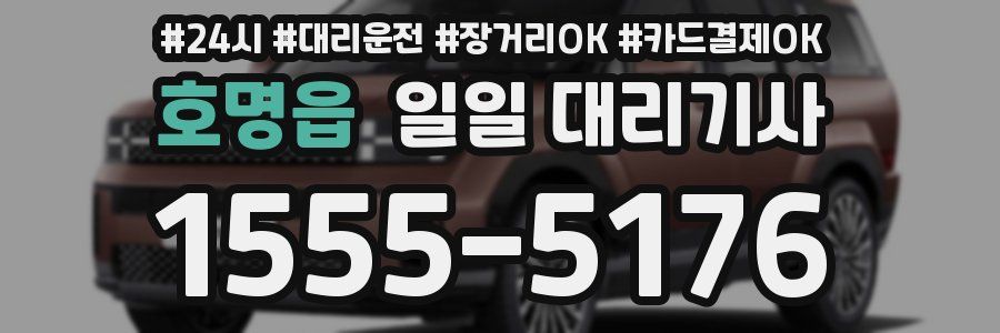호명읍 일일 대리기사