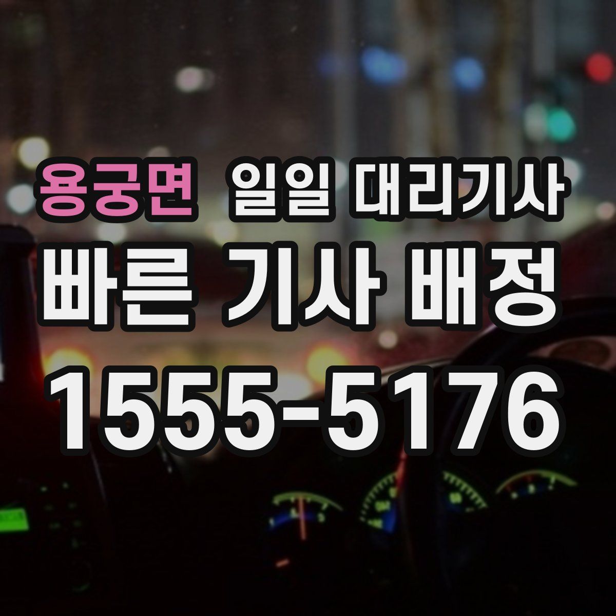 용궁면 일일 대리기사