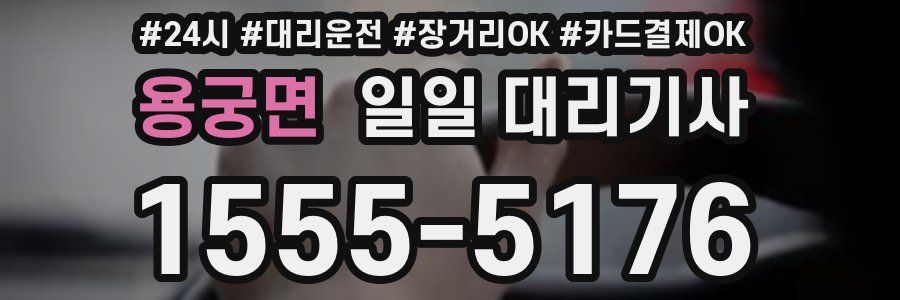용궁면 일일 대리기사