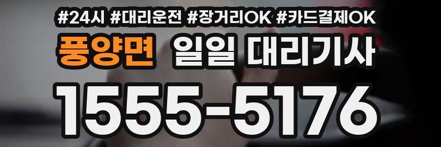 풍양면 일일 대리기사