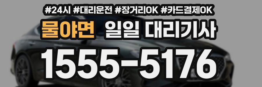 물야면 일일 대리기사