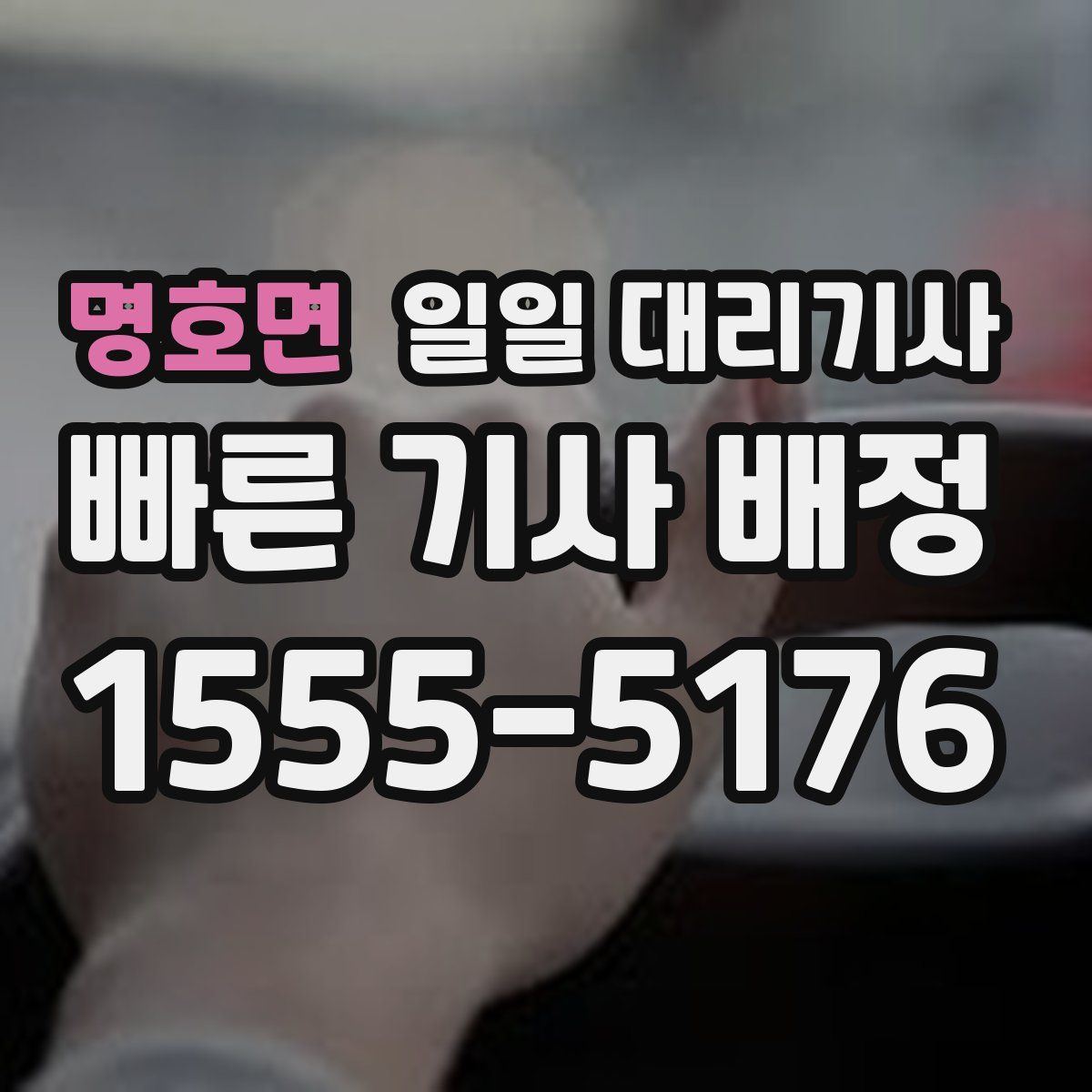 명호면 일일 대리기사