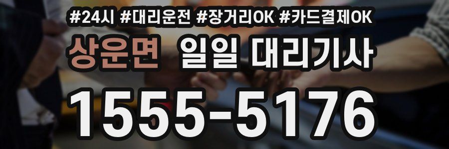 상운면 일일 대리기사