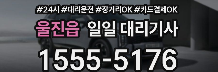 울진읍 일일 대리기사