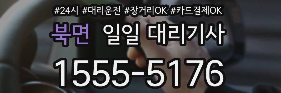 북면 일일 대리기사