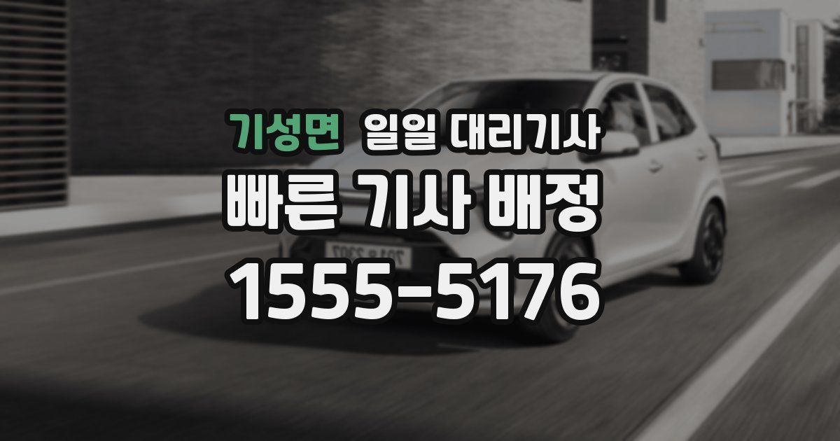 기성면 일일 대리기사