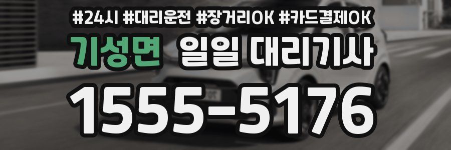 기성면 일일 대리기사