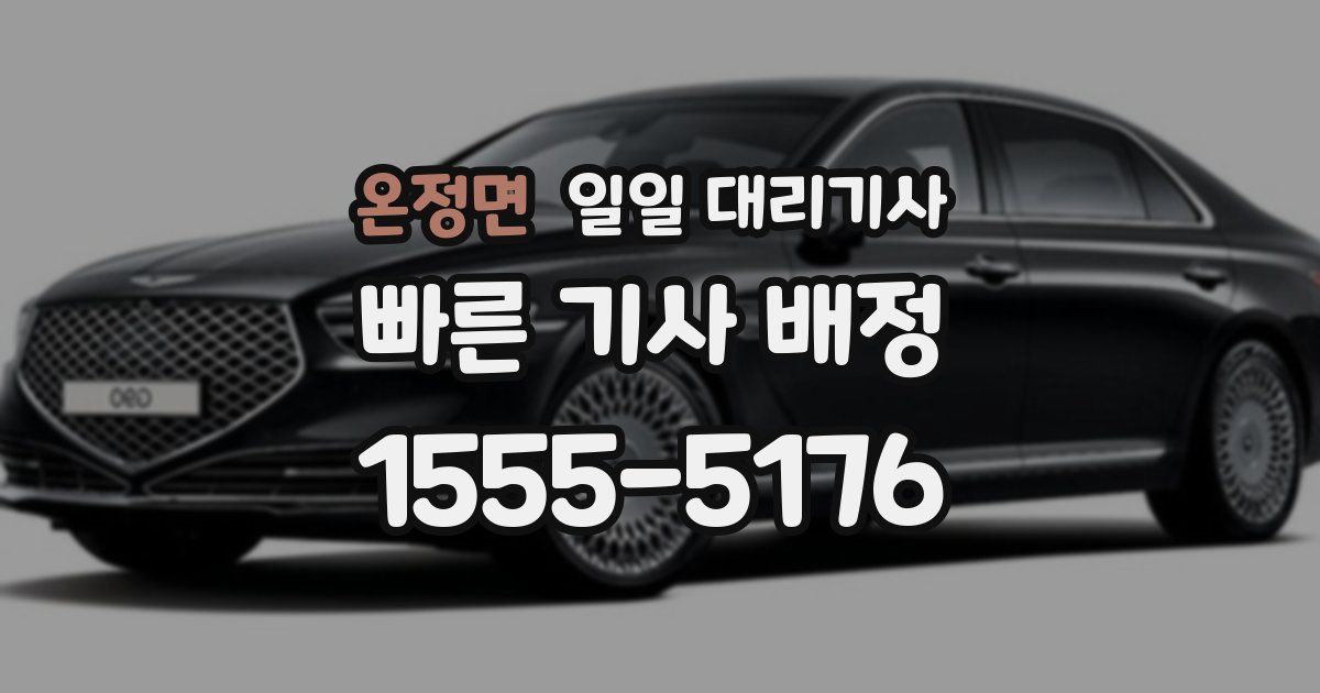 온정면 일일 대리기사