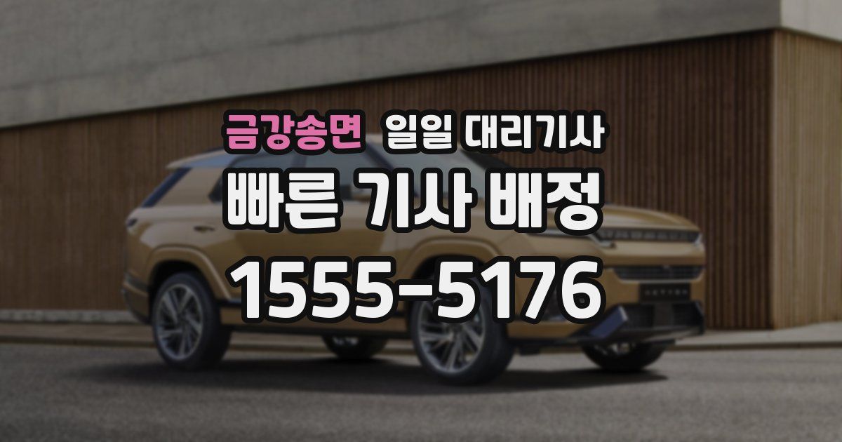 금강송면 일일 대리기사