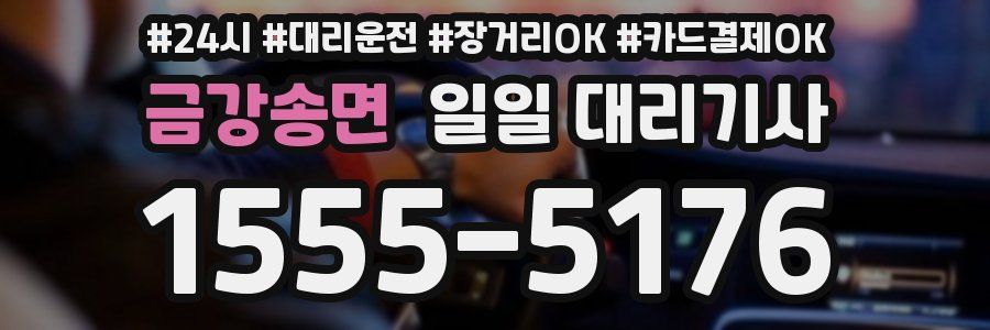 금강송면 일일 대리기사