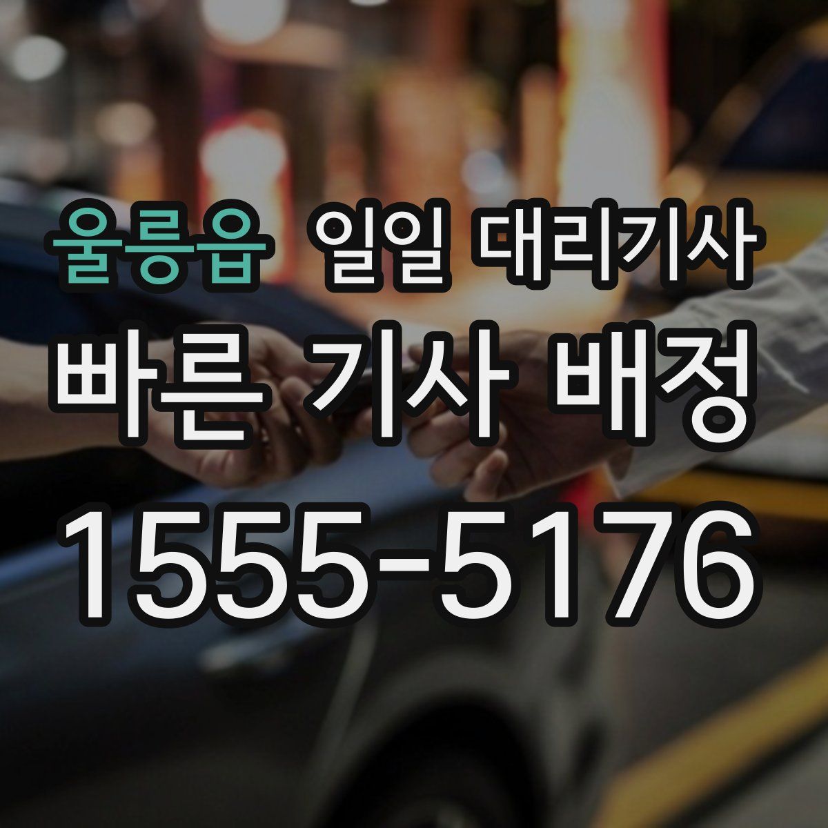 울릉읍 일일 대리기사
