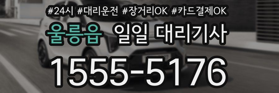 울릉읍 일일 대리기사