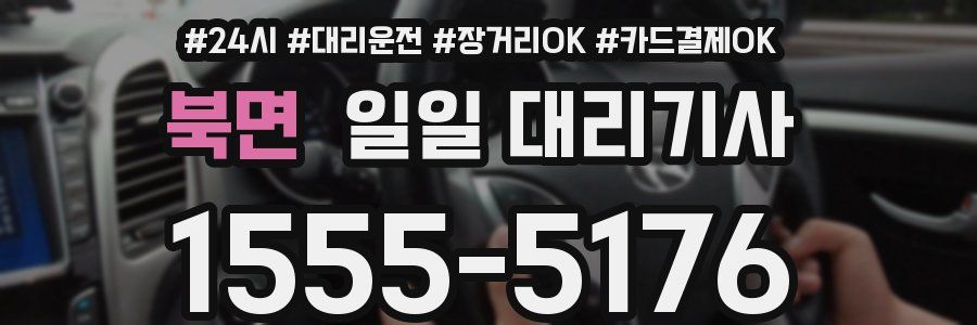 북면 일일 대리기사