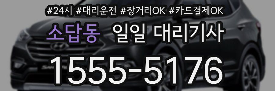 소답동 일일 대리기사